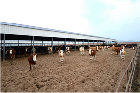 農(nóng)牧場(chǎng)資產(chǎn)確權(quán)解決方案